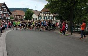 Les courses de Scherwiller : SCHERWILLER (67)